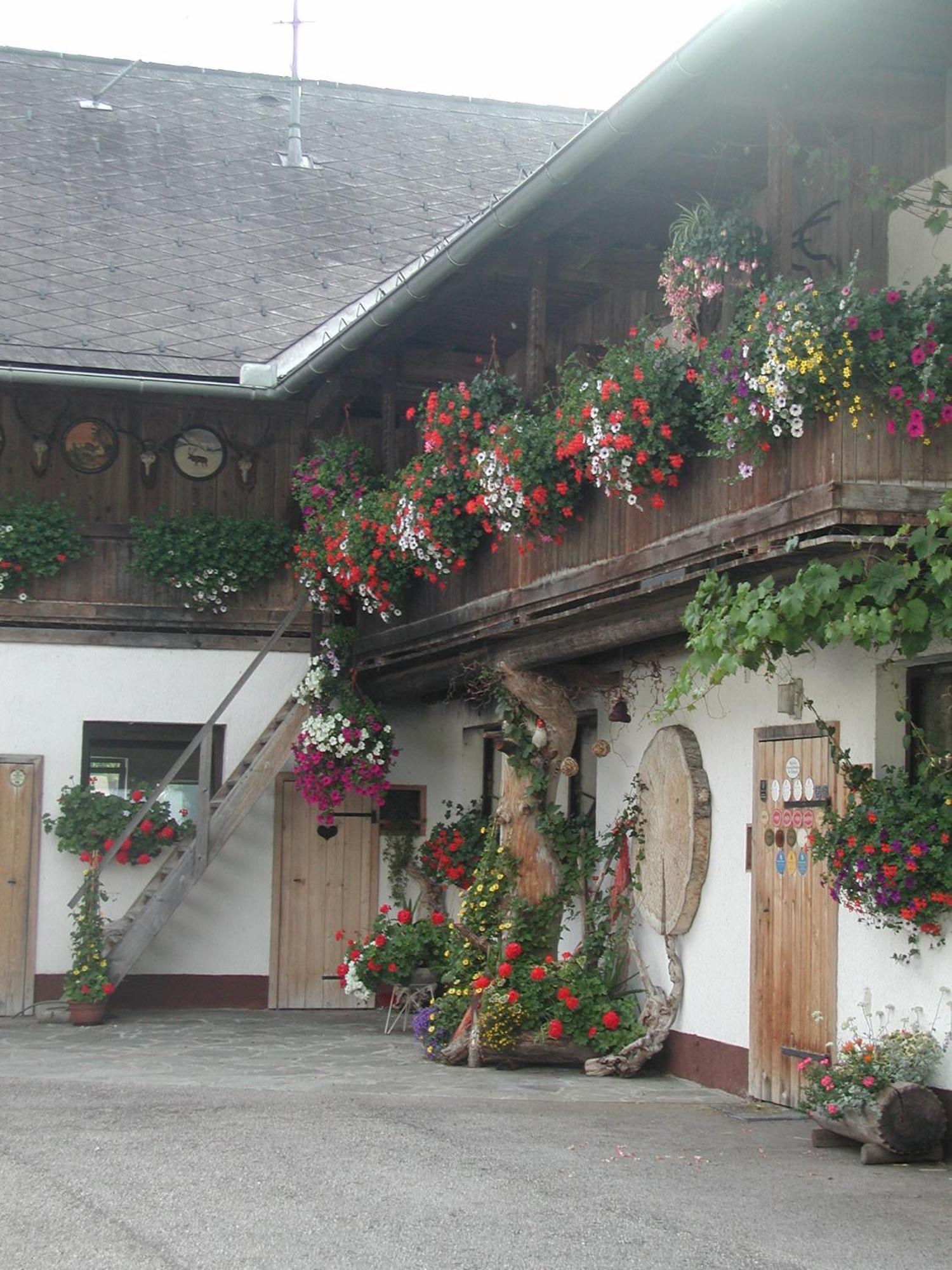 Ferienhof Unterfuehrholzergut Klaus an der Pyhrnbahn Extérieur photo