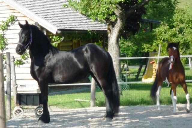 Ferienhof Unterfuehrholzergut Klaus an der Pyhrnbahn Extérieur photo