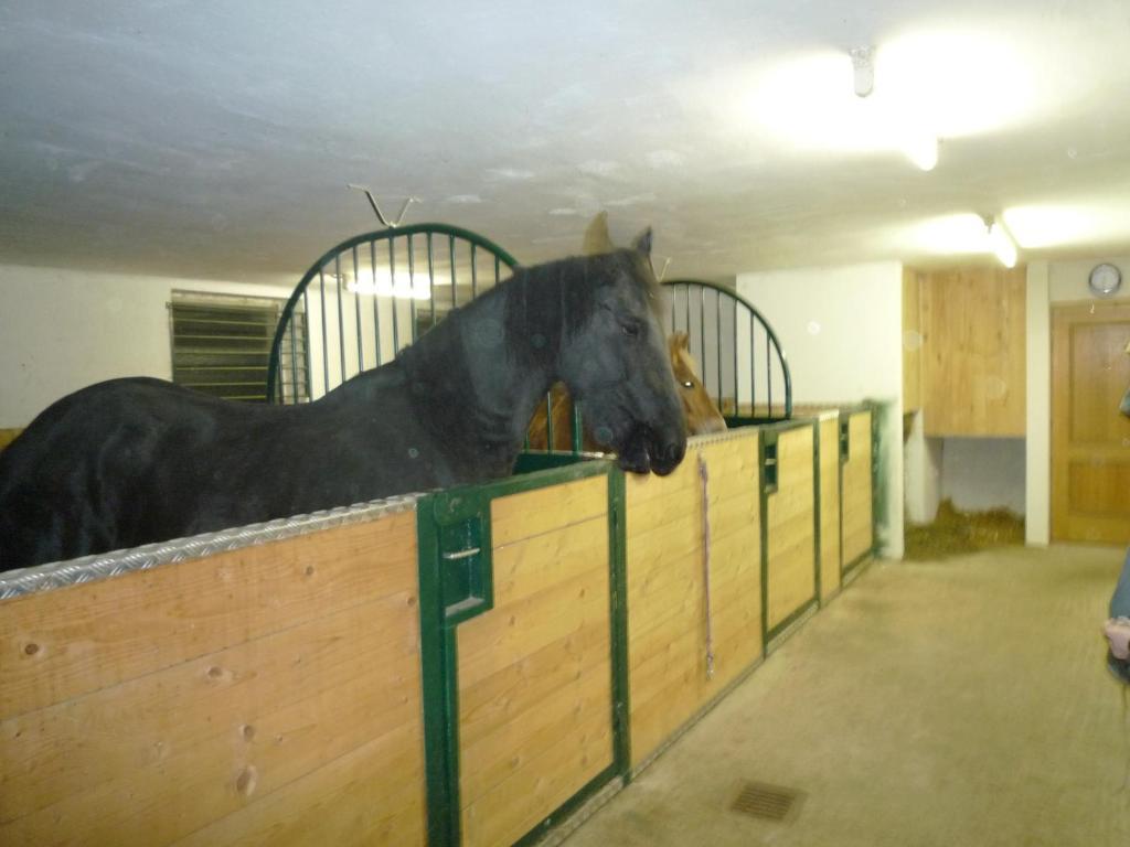 Ferienhof Unterfuehrholzergut Klaus an der Pyhrnbahn Extérieur photo